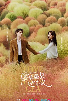 濮阳seo优化网络推广方法